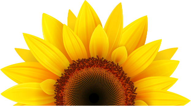 CreaSole - Aufräumcoaching